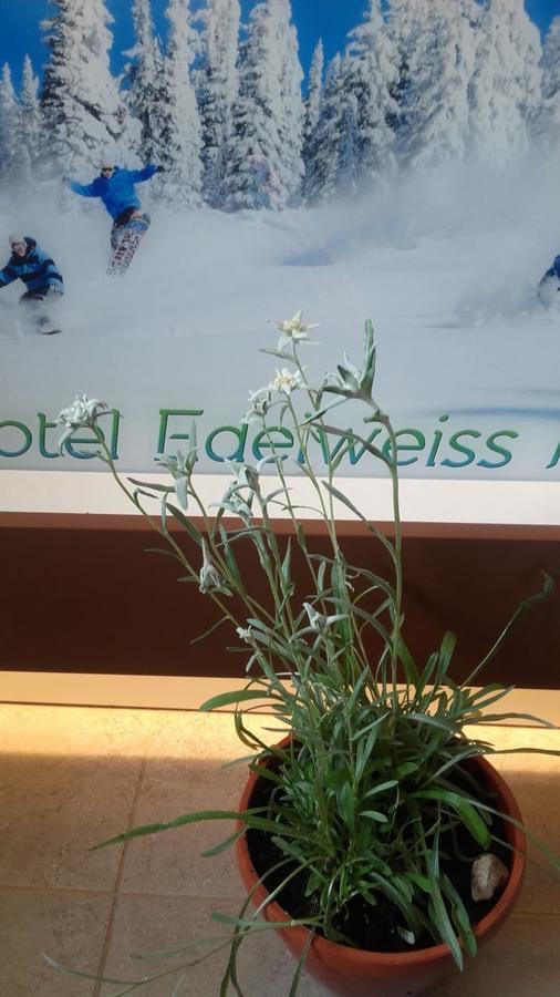 Vila Edelweiss Predeal Luaran gambar